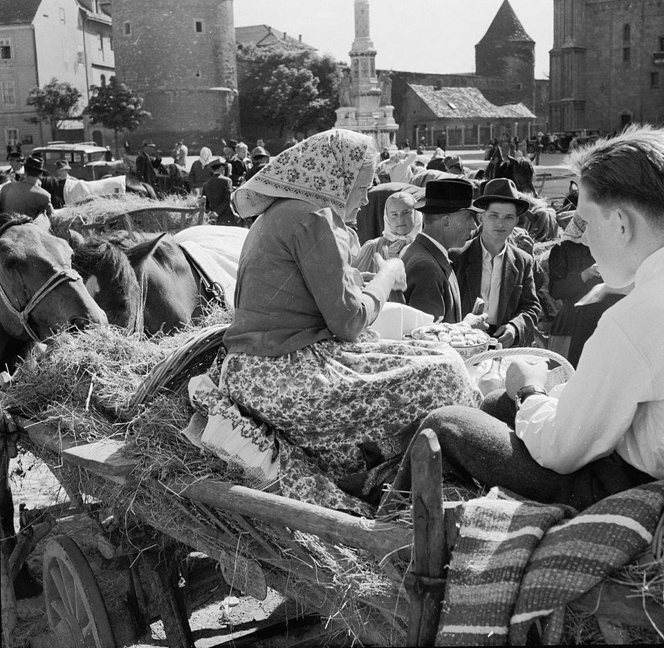 Kaptol 1950.-ih  godina